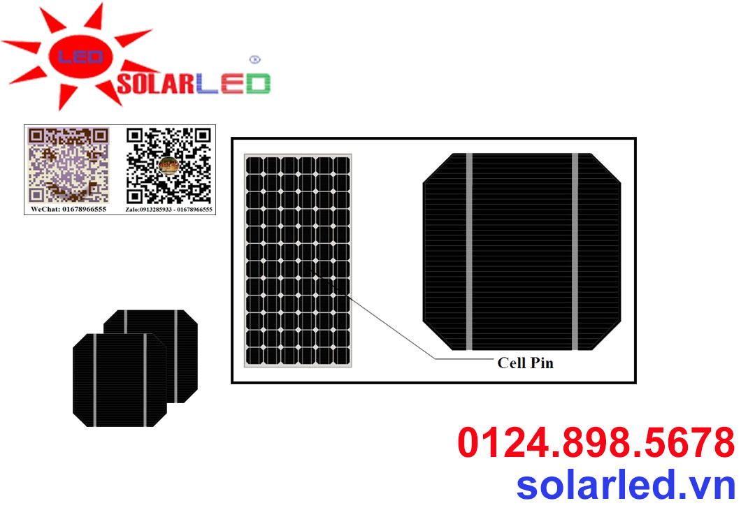 Cell Pin mặt trời